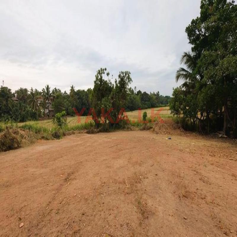 Land for sale in Nittambuwa