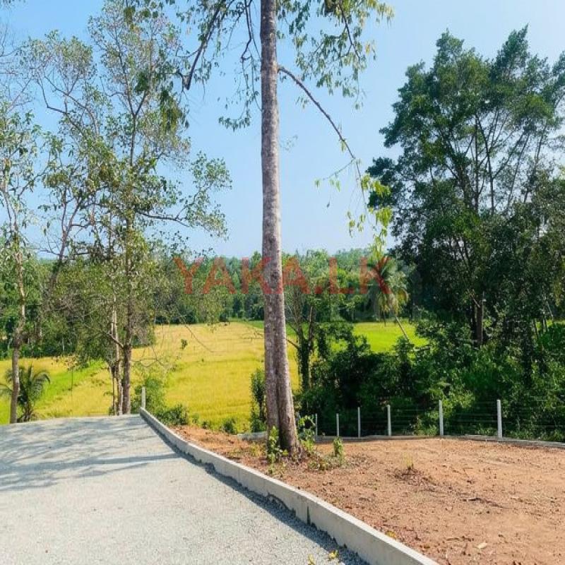 මාතර පාරෙන් වෙල් යායකට මයිමිව ඉඩමක්