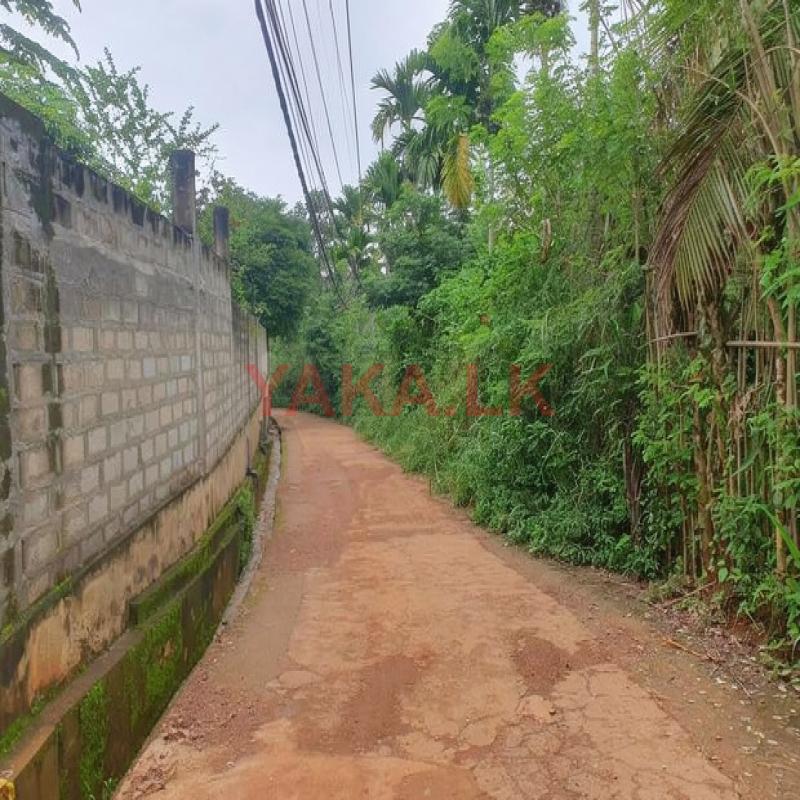 Land for Sale at Matale