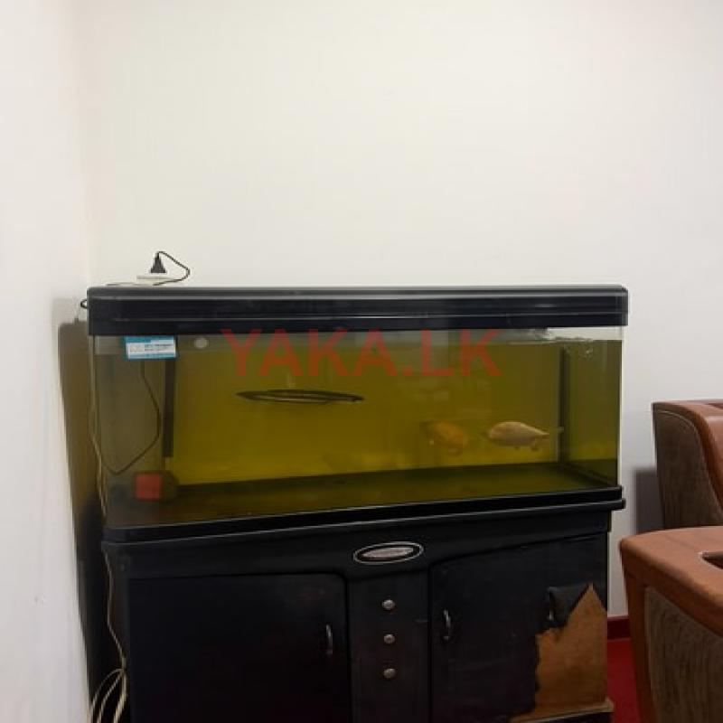 Fish Tank