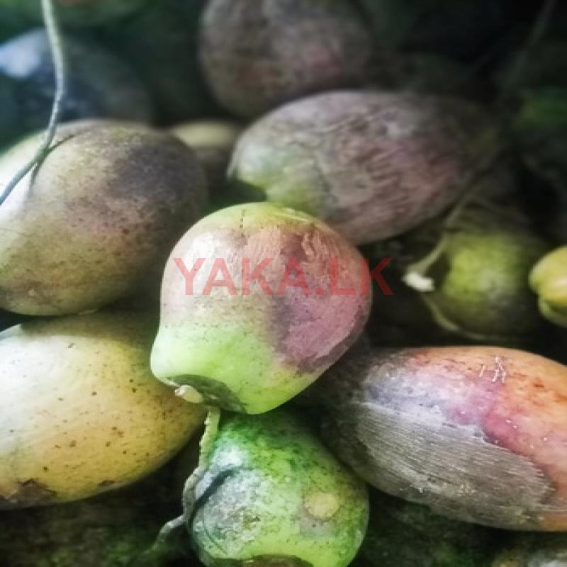 මාලු පොල්