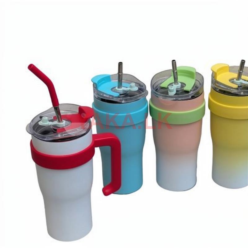 Vacuum Insulated Bottle with Straw