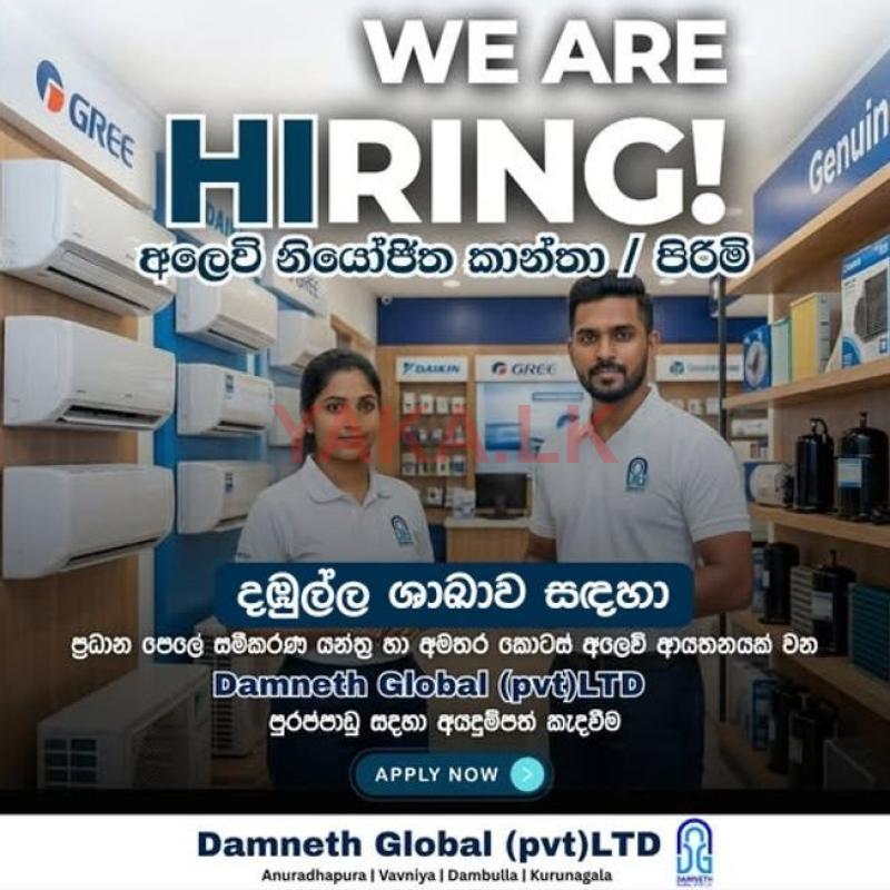 Sales Executives (Female)