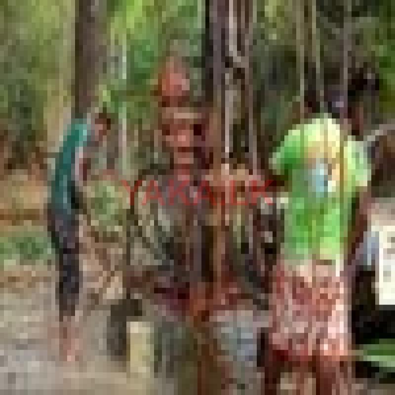 Tube Well Construction - මාතර