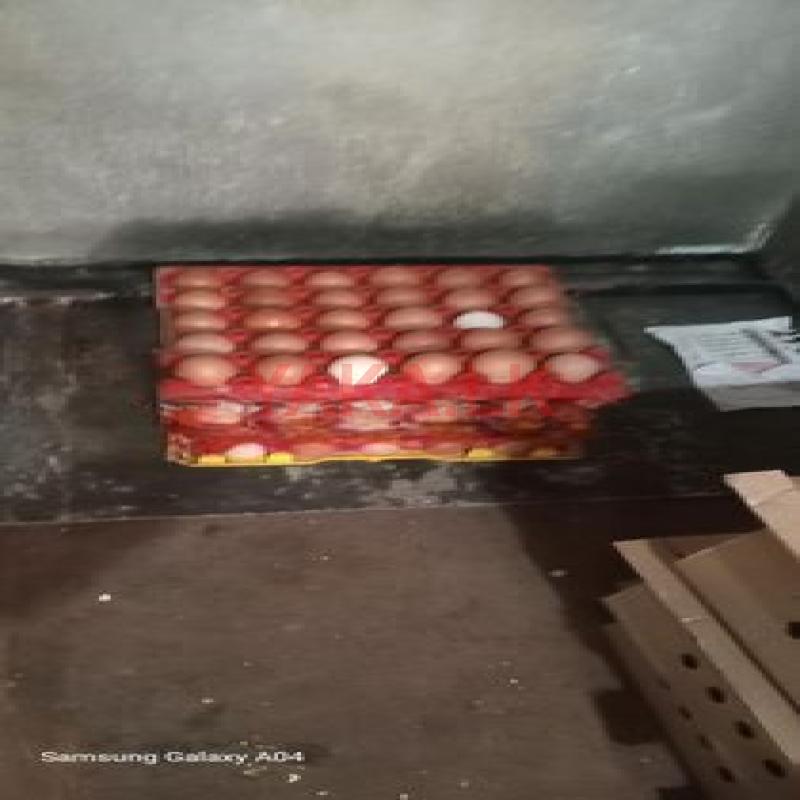රැක්වීම සඳහා බිත්තර