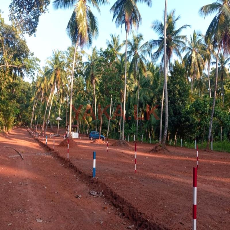 Land for Sale in Mirigama