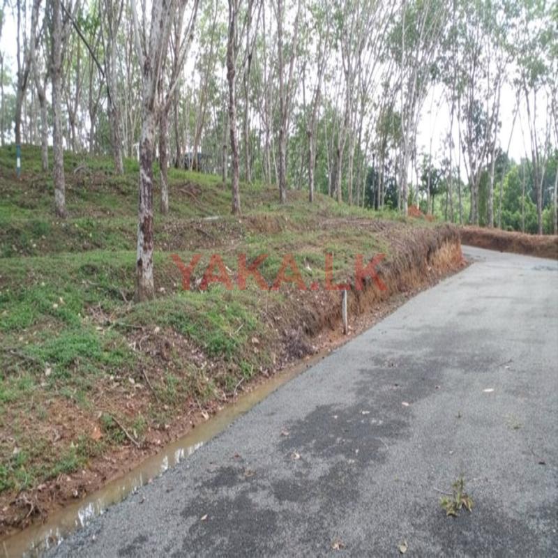 Land for sale in Ahangama