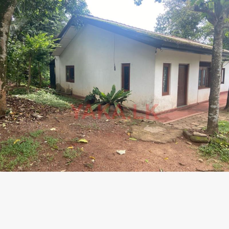 Land for sale -idh