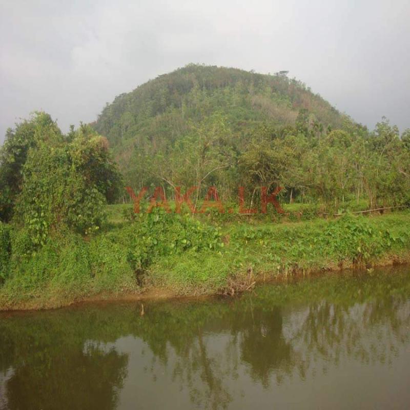 Riverfront land